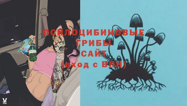 герыч Абаза