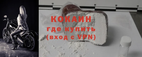 индика Медвежьегорск