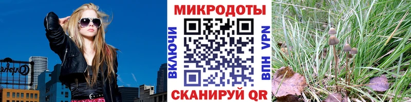 MEGA ссылка  где можно купить наркотик  Нальчик  Псилоцибиновые грибы MAGIC MUSHROOMS 