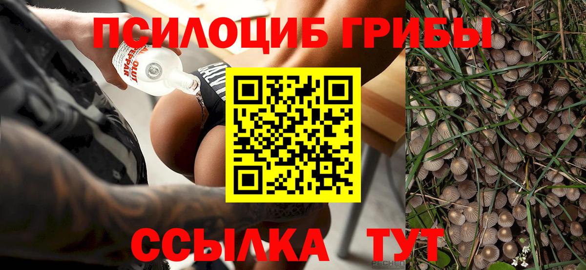Галлюциногенные грибы Cubensis  Вход с VPN  Нальчик 
