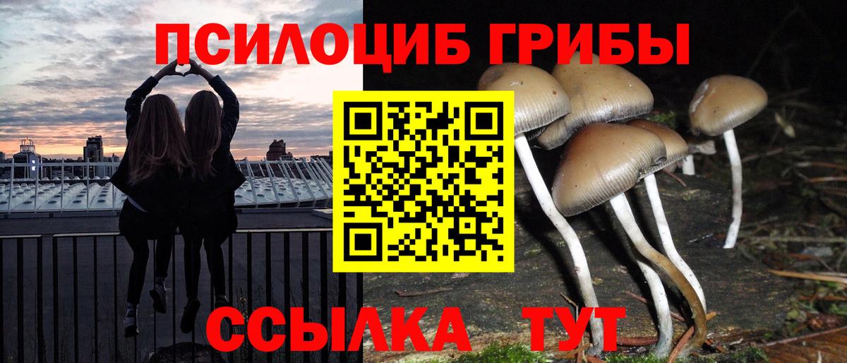 Псилоцибиновые грибы прущие грибы Нальчик