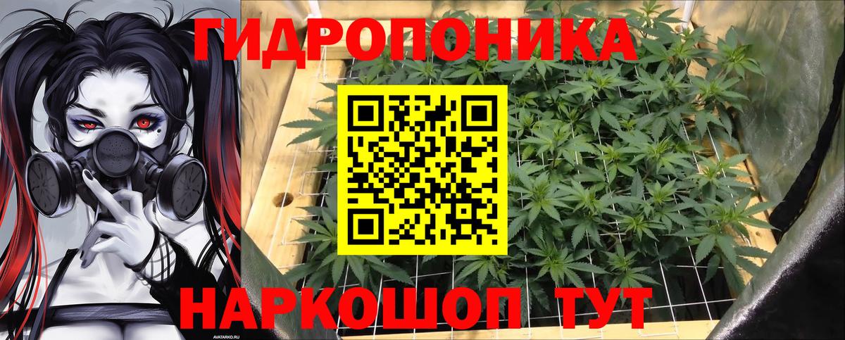 Каннабис ГИДРОПОН  Марихуана Ganja  Бошки Шишки планчик  Бошки марихуана Bruce Banner  Нальчик  Вход с VPN 